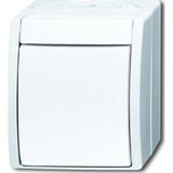 Busch-Jaeger Busch-J. Wipptaster,Schlieáer 2621 W-54 weiß, Retail