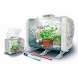 Clementoni High Tech Gewächshaus, Experimentierkasten mehrfarbig