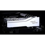G.Skill DIMM 32 GB DDR5-6400 (2x 16 GB) Dual-Kit	, Arbeitsspeicher silber, F5-6400J3039G16GX2-TR5NS, Trident Z5 Royal Neo, AMD EXPO