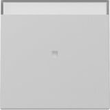 Gira Wippe Kontrollfunktion grau, Retail