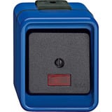 Merten Wipp-Kontrollschalter Wechsel 16 Ampere 250 Volt mit LED-Beleuchtung blau, Retail