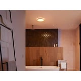 Philips HUE White Ambiance Devere Deckenleuchte M, LED-Leuchte silber, inkl. Dimmschalter