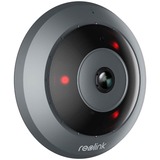 Reolink Fisheye Series P520, Überwachungskamera grau, 6,5 Megapixel, PoE