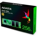 ADATA Ultimate SU650 M.2 256 GB, SSD SATA 6 Gb/s, M.2 2280