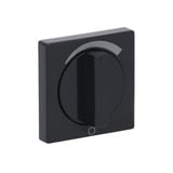 Busch-Jaeger Zentralscheibe Abdeckung 1740 Drehknopf Stufenschalter anthrazit, Retail