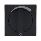 Busch-Jaeger Zentralscheibe Abdeckung 1740 Drehknopf Stufenschalter anthrazit, Retail