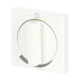 Busch-Jaeger Zentralscheibe mit Drehgriff und Aufdruck, Abdeckung Retail