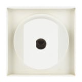 Busch-Jaeger Zentralscheibe mit Drehgriff und Aufdruck, Abdeckung Retail