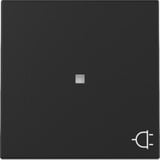 Gira Wippe Kontrollfenster und Symbol Steckdose schwarz, Retail