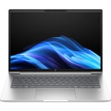 HP ProBook 4 G1a (AD2N2ET), Notebook silber, AMD Ryzen 7 250, AMD Radeon 780M, 32 GB DDR5, 1 TB (1 TB SSD), Windows 11 Pro