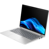HP ProBook 4 G1a (AD2N2ET), Notebook silber, AMD Ryzen 7 250, AMD Radeon 780M, 32 GB DDR5, 1 TB (1 TB SSD), Windows 11 Pro