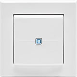 Homematic IP Wandtaster 2-fach (HmIP-WRC2-2), Schalter weiß