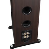 Magnat Signature 507, Lautsprecher mocca/holz, Einzellautsprecher