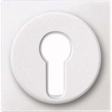 Merten Zentralplatte für Wechsel-Rastschalter-Einsatz, Typ 318119, Kunststoff, matt, 55x55 mm weiß (matt), Retail