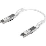 Ubiquiti UniFi Uplink-Kabel SFP28 weiß, 0,3 Meter