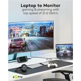 goobay USB Adapterkabel, USB-C Stecker > DisplayPort Stecker, 4K 60Hz schwarz/silber, 1 Meter, Textilkabel