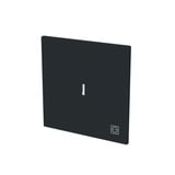 0 Wippe mit Symbol Stecker mit transparenter Kalotte schwarz, Retail