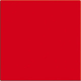 Busch-Jaeger Einteilige Wippe rot, Retail