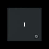 Busch-Jaeger Wippe mit Symbol Stecker mit transparenter Kalotte schwarz, Retail