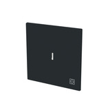 Busch-Jaeger Wippe mit Symbol Stecker mit transparenter Kalotte schwarz, Retail