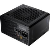 FSP ADVAN GM 1000W, PC-Netzteil 1x 12-Pin High Power GPU, 4x PCIe, Kabelmanagement, 1000 Watt