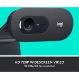 Logitech C505e, Webcam schwarz, Bulk