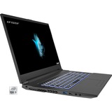 Medion Erazer Defender E10 (30033652), Gaming-Notebook schwarz, Windows 11 Home 64-Bit