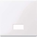 Merten Wippe Symbol Fenster aktivweiß glänzend rechteckig Kontrollschalter- und Taster-Einsatz weiß (glänzend), Retail