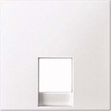 Merten Zentralplatte für RJ12 Telefonsteckdosen-Einsätze weiß, Retail