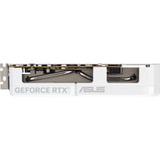 ASUS GeForce RTX 5060 DUAL OC WHITE 8GB, Grafikkarte weiß, DLSS 4, 3x DisplayPort, 1x HDMI 2.1