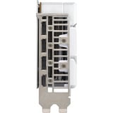ASUS GeForce RTX 5060 DUAL OC WHITE 8GB, Grafikkarte weiß, DLSS 4, 3x DisplayPort, 1x HDMI 2.1