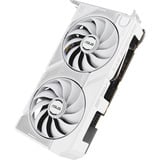 ASUS GeForce RTX 5060 DUAL OC WHITE 8GB, Grafikkarte weiß, DLSS 4, 3x DisplayPort, 1x HDMI 2.1