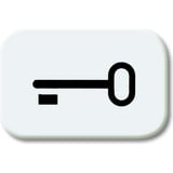 Busch-Jaeger Tastersymbol ausschaltwippe 2525 TR-214, Schlüssel weiß, Retail