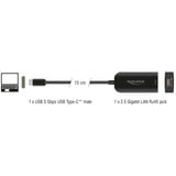 DeLOCK USB Type-C™ Adapter zu 2,5 Gigabit, LAN-Adapter schwarz