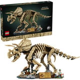 77985 Jurassic World Dinosaurier-Fossilien: Triceratops, Konstruktionsspielzeug