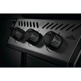 Napoleon Gasgrill Freestyle 365 Graphit graphit/schwarz