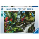 Ravensburger Puzzle: Bunte Papageien im Dschungel (2000 Teile) 