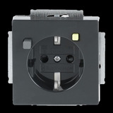 Busch-Jaeger Fehlerstromschutzschalter Einsatz, Steckdose anthrazit, Retail