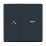 Busch-Jaeger Wippe anthrazit, Retail