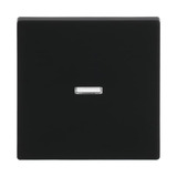 Busch-Jaeger Wippe schwarz, Retail