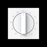 Busch-Jaeger Zentralscheibe mit Aufdruck, Abdeckung weiß, Retail