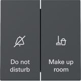 Gira Wippschalter Anzeige Hotelzimmerstatus mit Wippe 2fach anthrazit, Retail