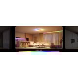 Govee 38cm Intelligente RGBICWW Deckenleuchte Pro, LED-Leuchte 