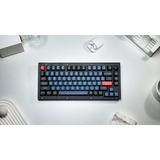 Keychron V1 Knob, Gaming-Tastatur schwarz/blaugrau, DE-Layout, Keychron K Pro Brown, Hot-Swap, RGB