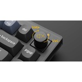 Keychron V1 Knob, Gaming-Tastatur schwarz/blaugrau, DE-Layout, Keychron K Pro Brown, Hot-Swap, RGB