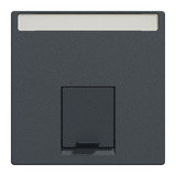 Merten Zentralplatte einfach mit Schriftfeld und Verschlussschieber anthrazit, Retail