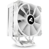Sharkoon A50 RGB, CPU-Kühler weiß, 120 mm