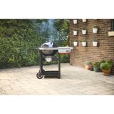 Weber Holzkohlegrill Perfomer  schwarz/silber, Ø 57cm