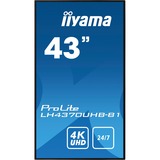 iiyama LH4370UHB-B1, Public Display schwarz, UltraHD/4K, HDMI, Android