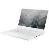 ASUS TUF Dash F15 (FX516PM-HN026T), Gaming-Notebook weiß, Windows 10 Home 64-Bit, 144 Hz Display